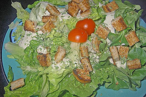 Salad with Cheese Sauce and Croutons