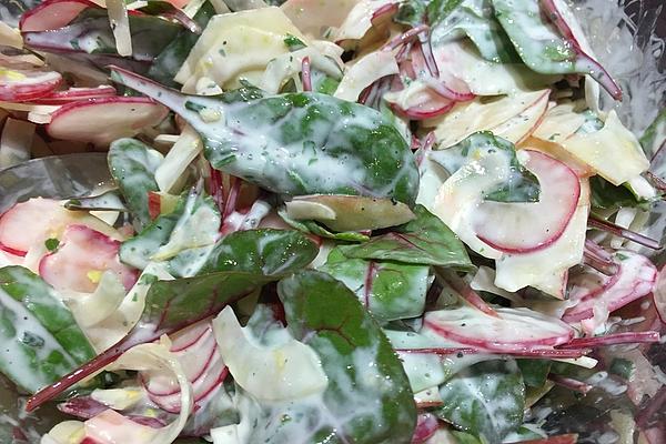 Salad with Fennel and Radishes