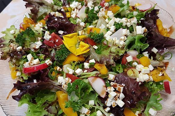 Salad with Sheep Cheese or Goat Cheese