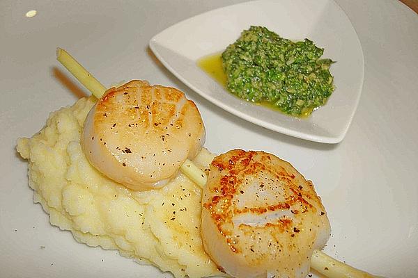 Scallops with Lemongrass Puree and Herb Sauce