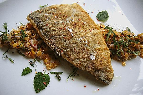 Sea Bream Fillet on Lukewarm `Indian` Lentil Salad