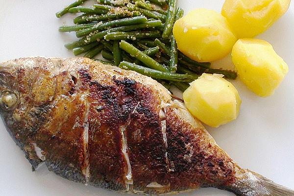 Sea Bream from Pan