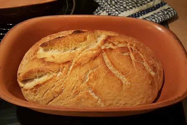 Simple Sourdough Bread from Roaster