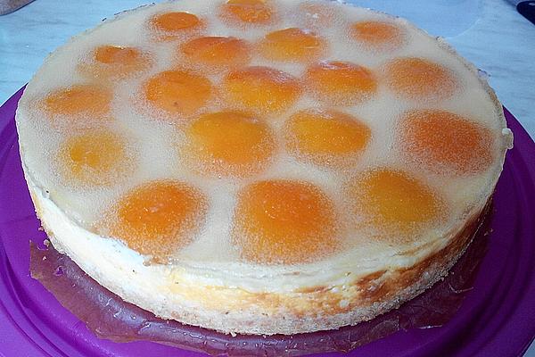 Sour Cream-custard-apricot Cake