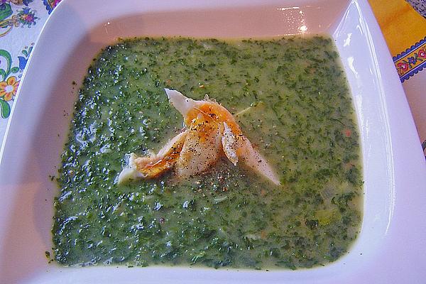Spinach Soup with Fried Ice Strips