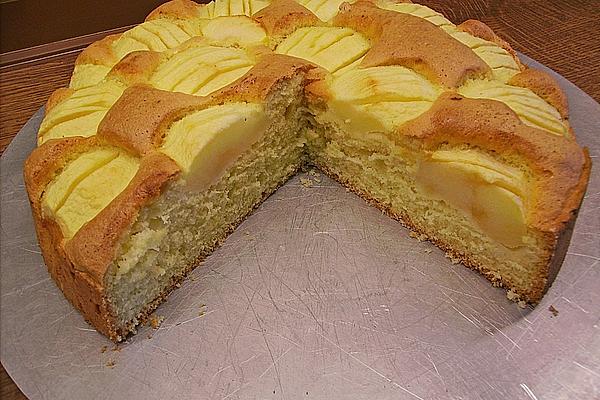 Sponge Cake – Palette (plum Cake)