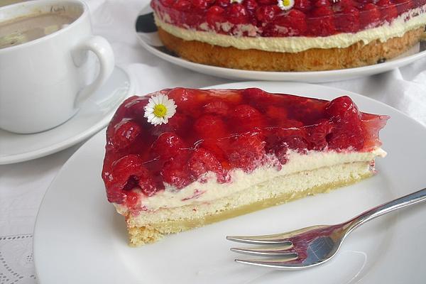 Sponge Cake with Biscuit Base for Fruit Cakes