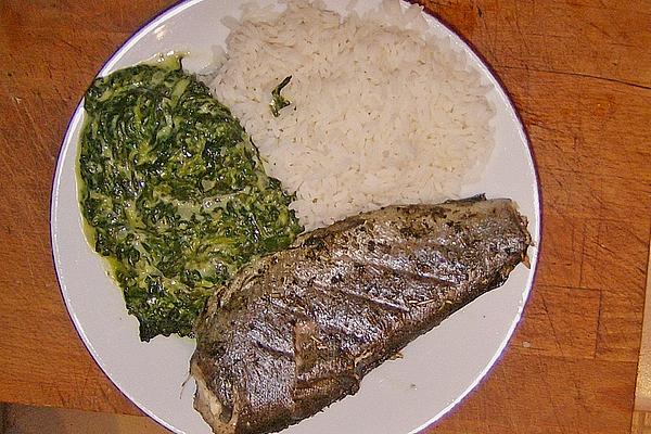 Steamed Trout with Rice and Spinach Sauce