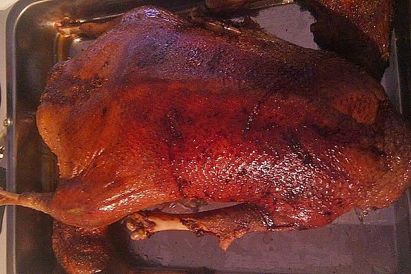 Stuffed NT Goose with Suggestions for Recycling Leftovers