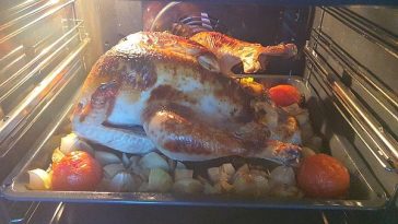 Stuffed Goose (Low Temperature)