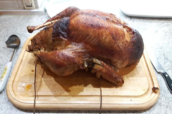 Stuffed Turkey or Turkey