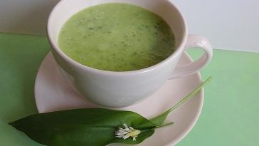 Wild Garlic Soup with Cream