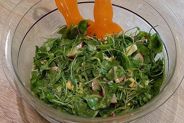 Summer Cress Salad with Radishes and Egg