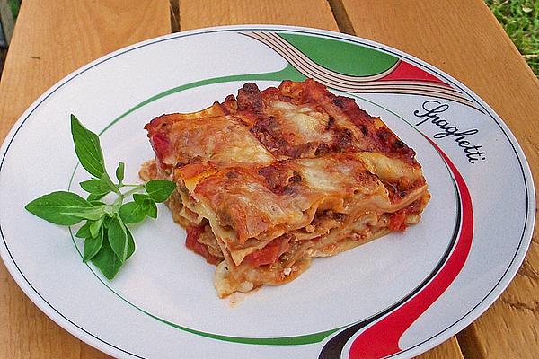 Super Tasty Lasagna My Mother`s Style