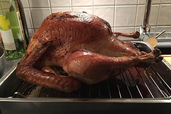 Thanksgiving Turkey