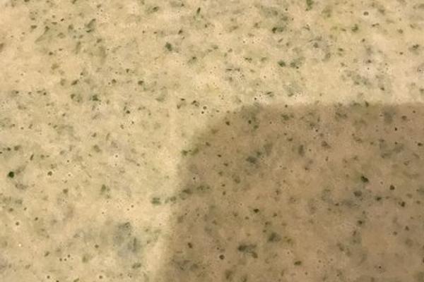 Three Herb Cream Soup with Croutons