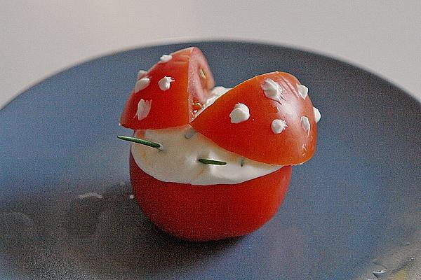 Tomato Ladybug