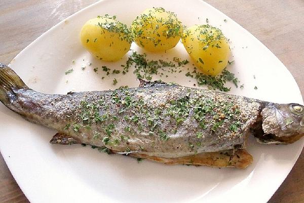 Trout in Oven