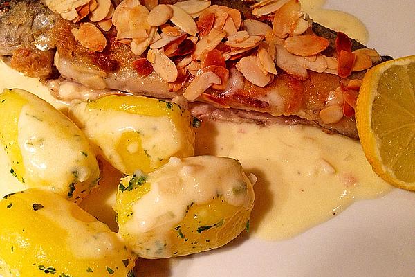 Trout Müllerin Art with Almond Top, White Wine Sauce and New Potatoes