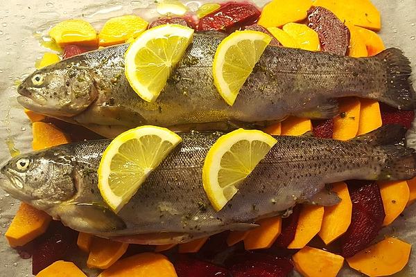 Trout on Sweet Potato and Beetroot Bed
