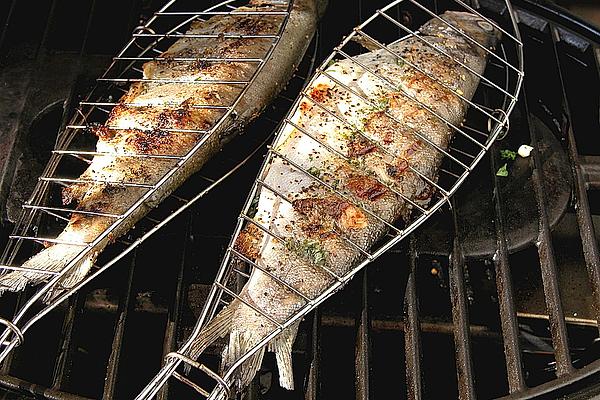 Trout with Fresh Herbs from Grill