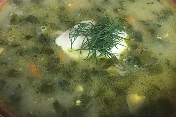 Ukrainian Green Borsch