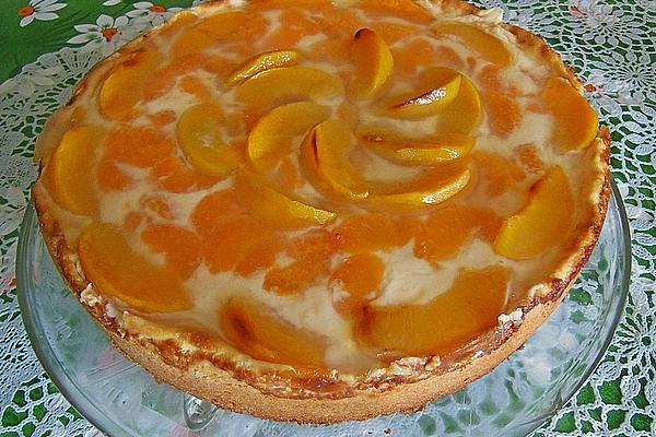 Vanilla Sour Cream Cake with Tangerines and Apricots