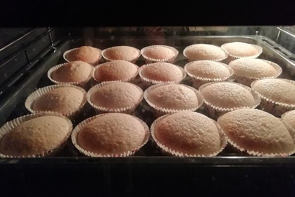 Vegan Cup Cakes or Muffins