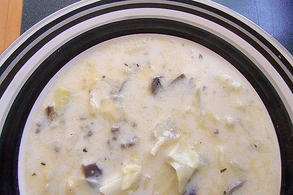 White Cabbage – Leek – Cheese Soup