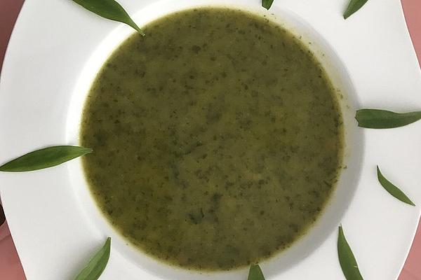 Wild Garlic and Vegetable Soup
