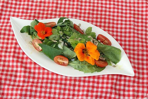 Wild Herb Salad with Balsamic Dressing