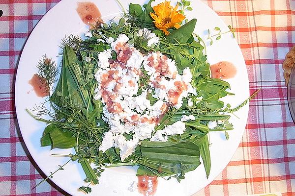 Wild Herb Salad with Berry Vinaigrette