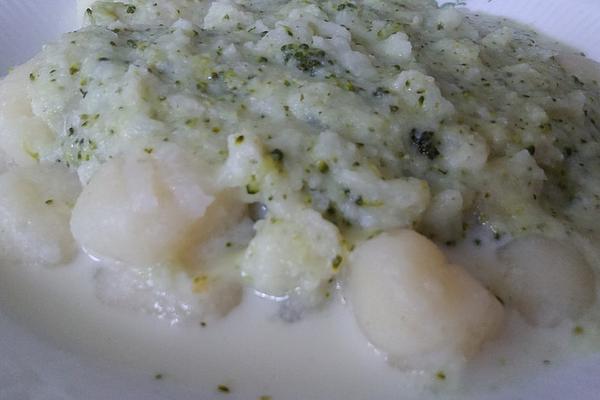 Broccoli – Gnocchi with Cheese Sauce