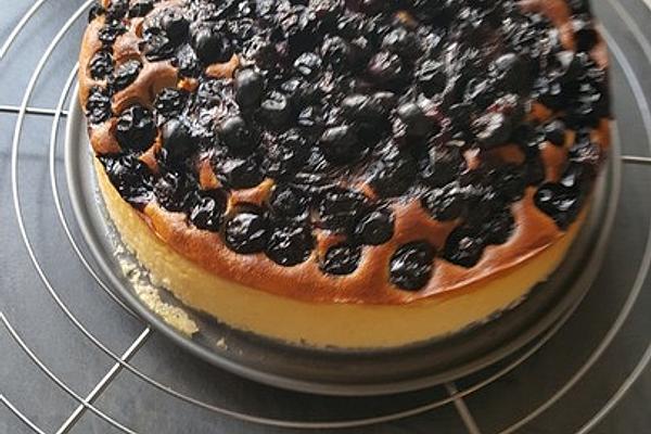 Cheese – Blueberry – Cake