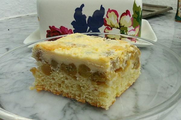 Sponge Cake on Tray – Astrid