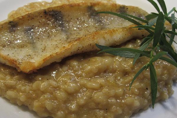 Venetian Lemon Risotto with Pikeperch Slices