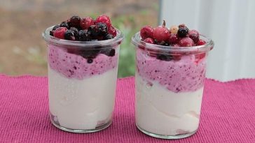 WW Yogurt with Berries