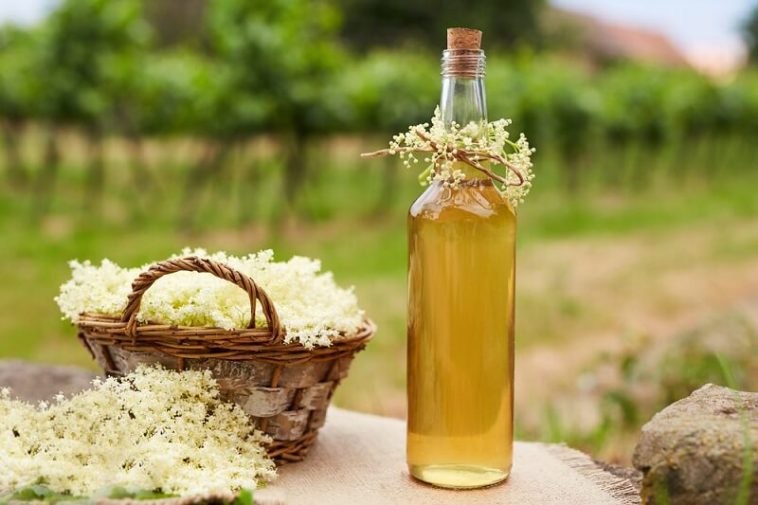 Elderberry Syrup Recipe