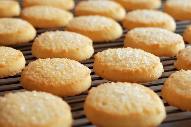 Sugar Cookie Recipe